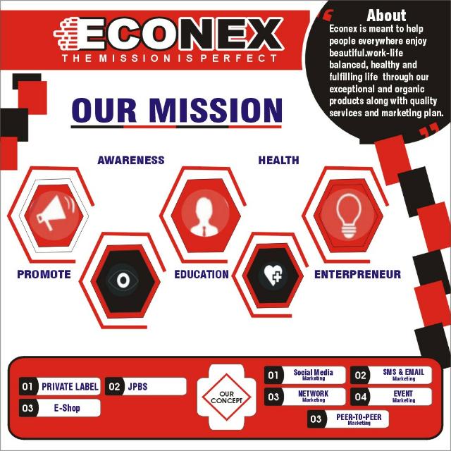 Econex online business