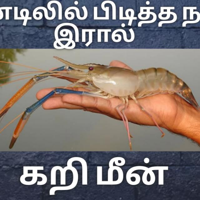 Tamil Fishing ????