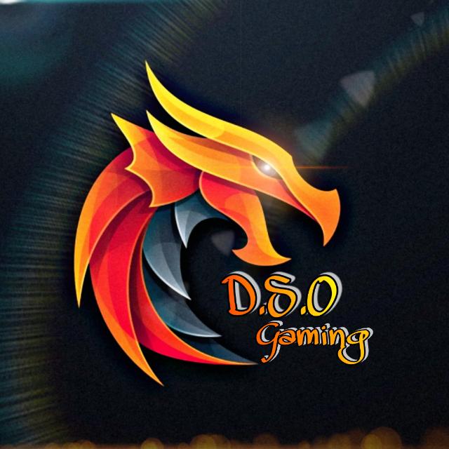 DSO GAMING #1 Customs??