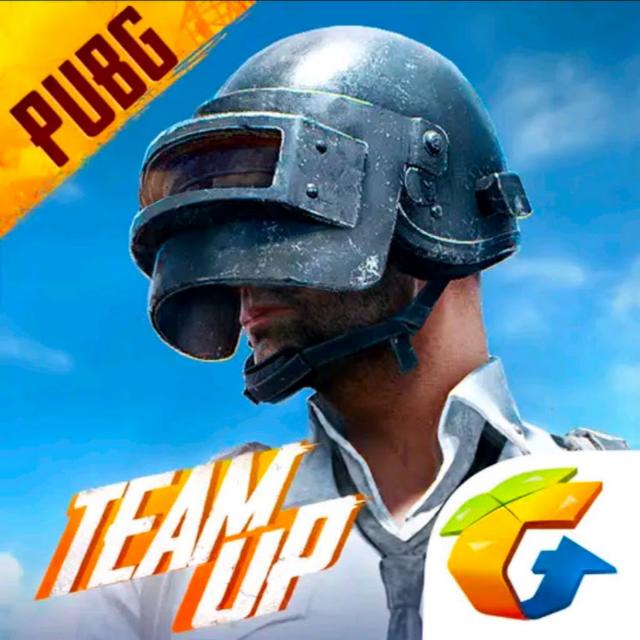 PUBG LOVER