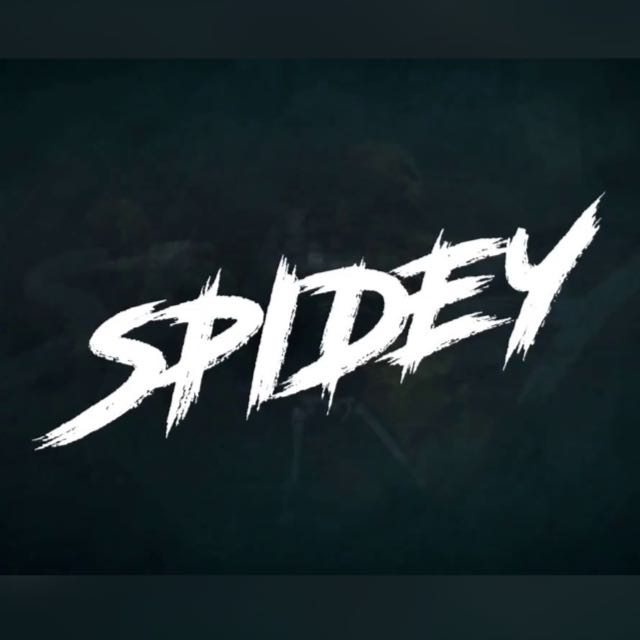 ▶︎ＳＰＩＤＹ◀︎??GAMING STORE(3)