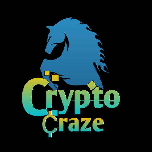 crypto craze ?????