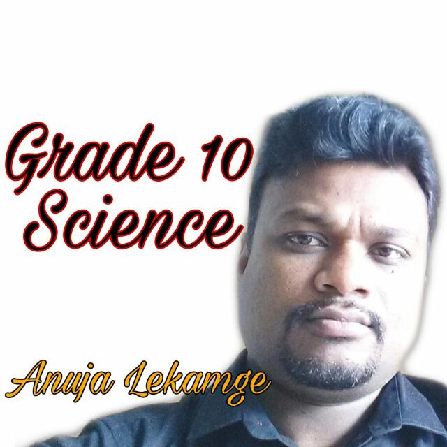 Grade 11 Science  O/L  21