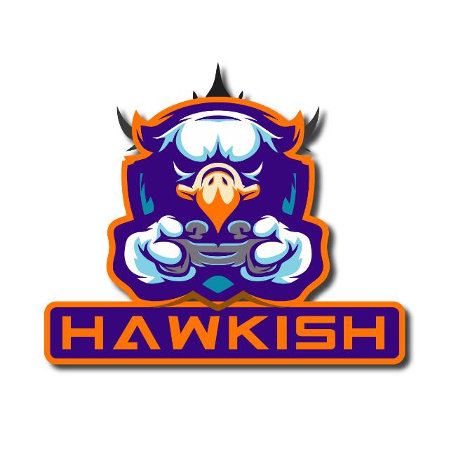 Hawkish Gaming 3