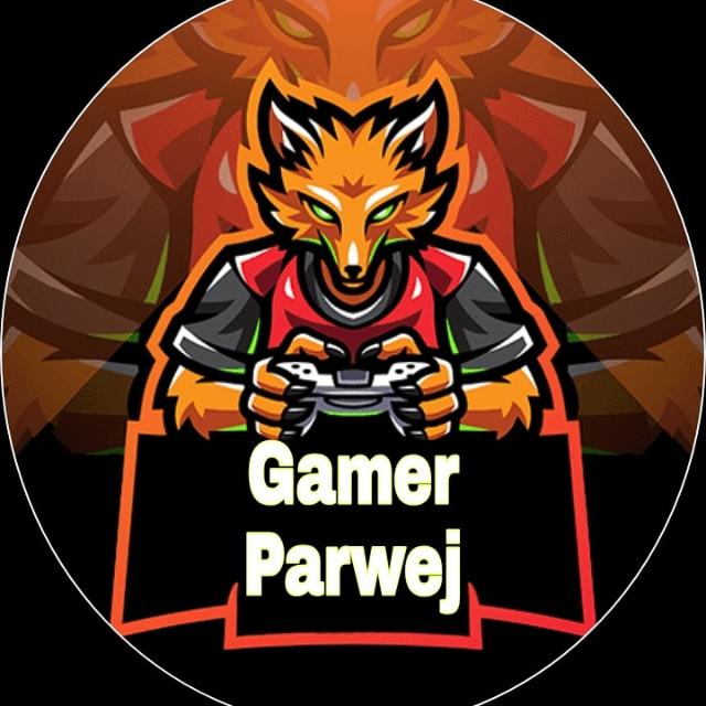 Gamer Parwej youtube?