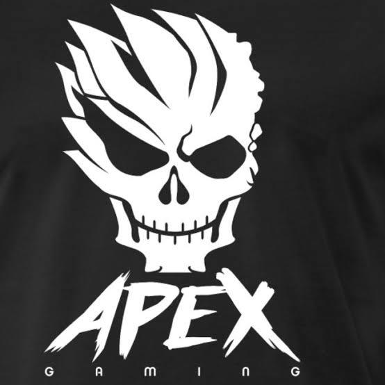 APEX CUSTOM GAMING.❤️