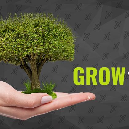 Grow business sell or buy