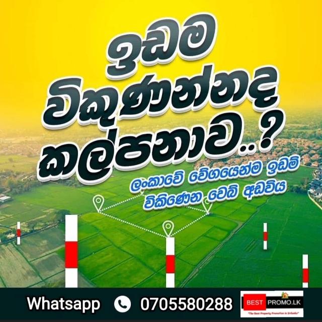 ඉඩම් නිවාස විකුණා ගැනිමට