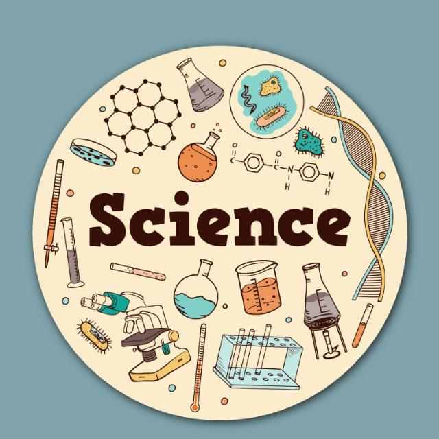 SCIENCE ACTIVITY