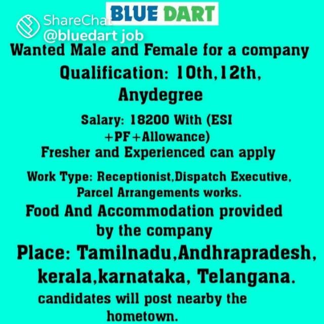 Bluedart jobs ?