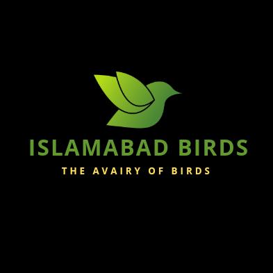 Islamabad._.Birds ?