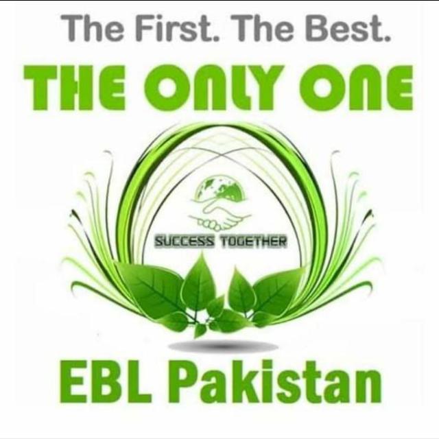 EBL Pakistan company Online Earning