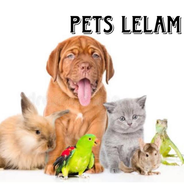 ?All kerala pets lelam ?