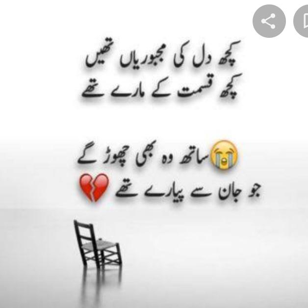 Shayari Status