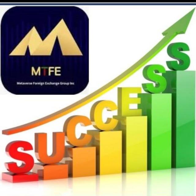 MTFE Success Guidence