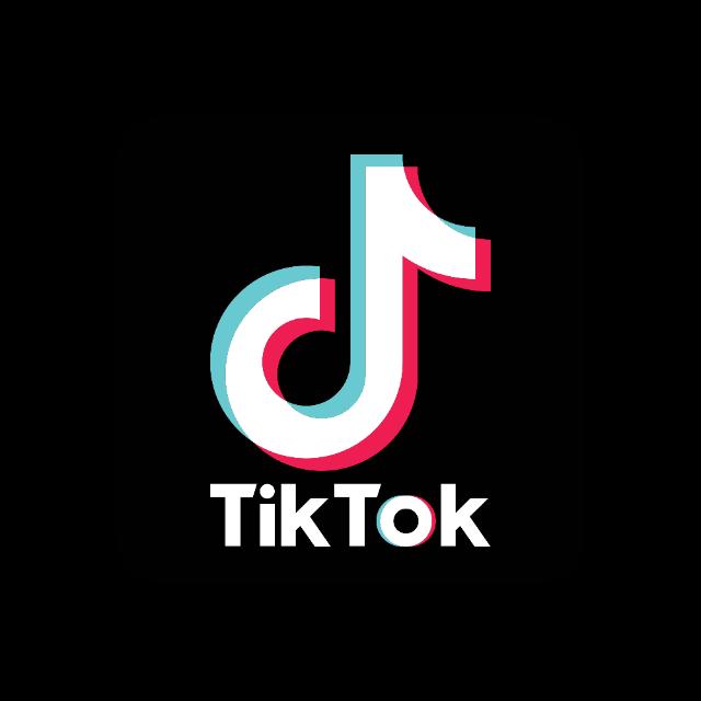 Tiktok Masti ?