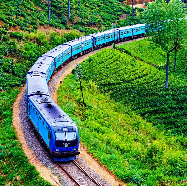 Sri Lanka's Train lovers ?