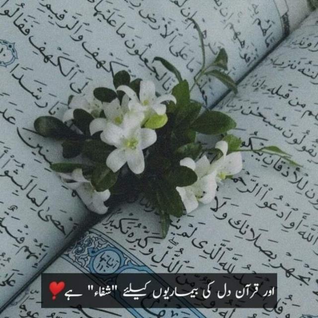 Quran status❤️?