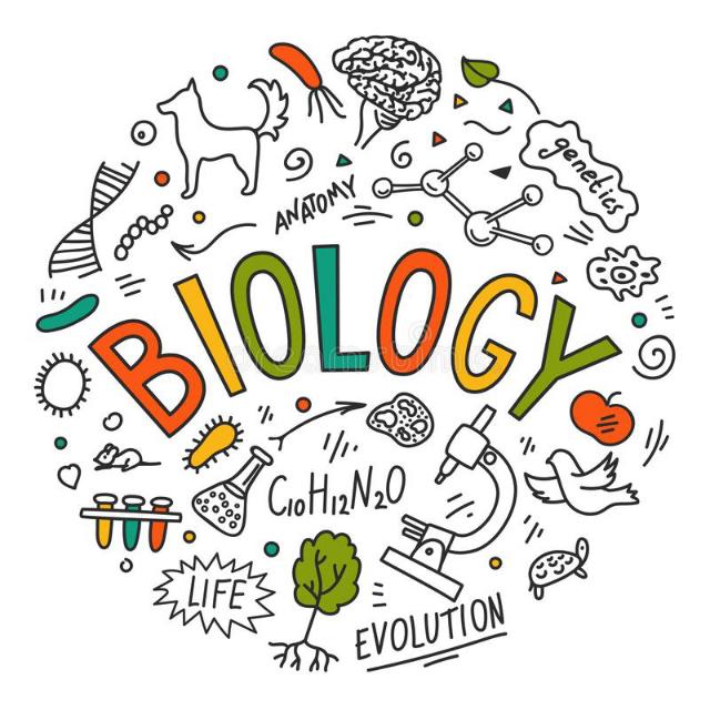 1st Year Biology Classes