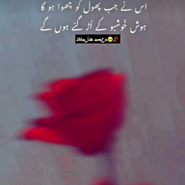 Poetry lovers ajao saray edhar?