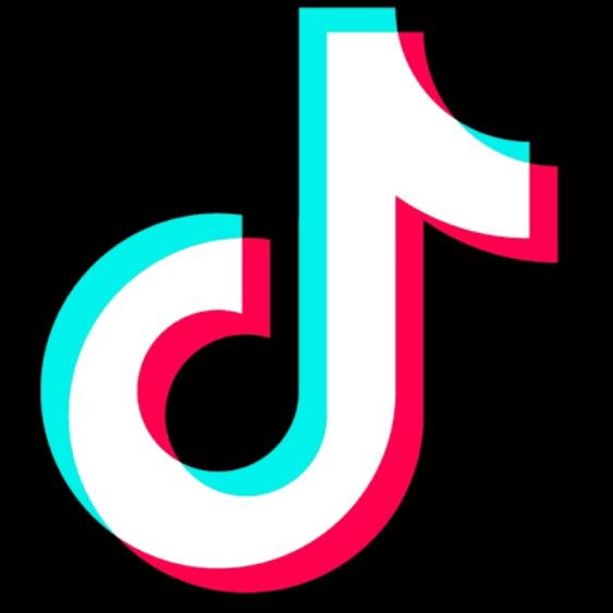 Tiktok followers support 