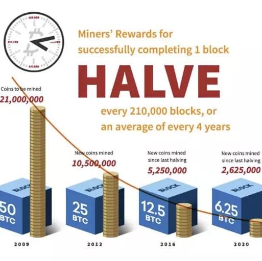 Crypto Halving 2024?