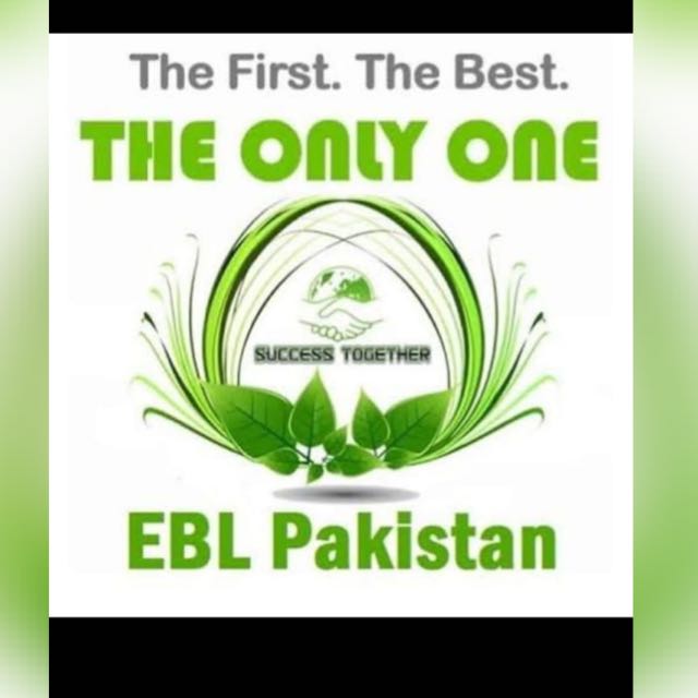 EBL Pakistan online work available