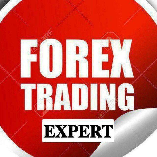 ?FOREX TRADING EXPERT?