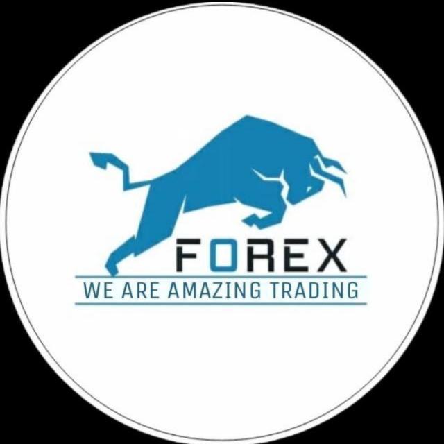 XM forex amazing trading 📊 T/22