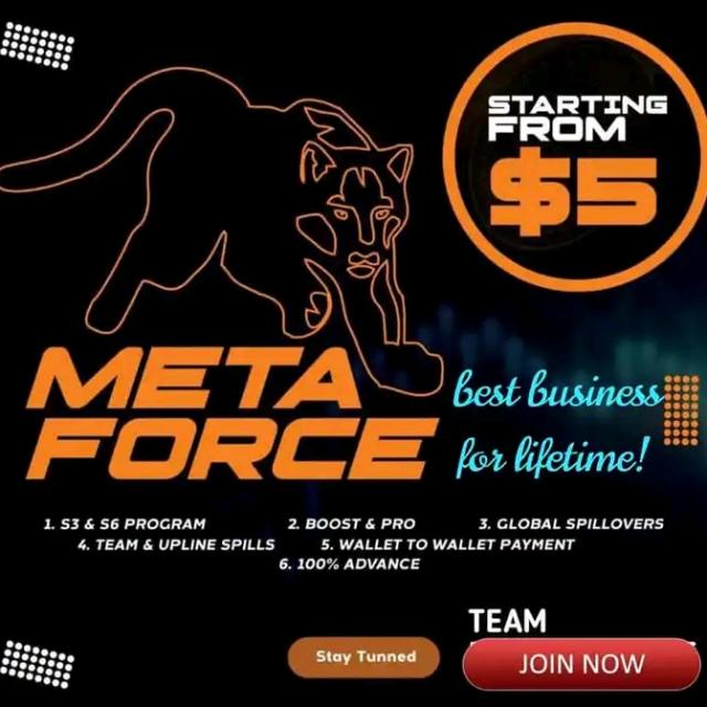 Meta Force Business Blockchain Technology Based project ????