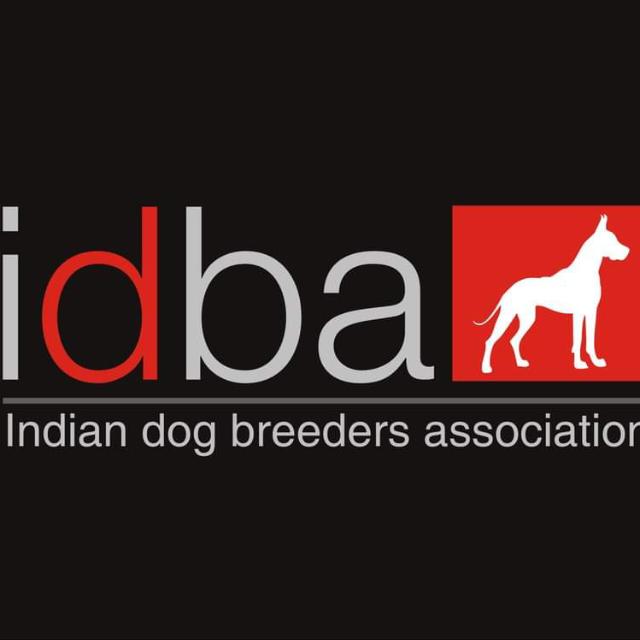 *INDIAN DOG BREEDERS ASSOCIATION* 🐕