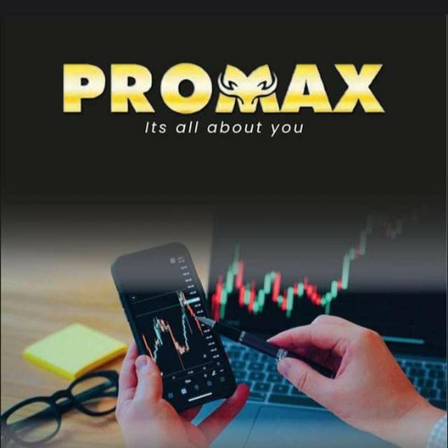 Promax Trading B_1