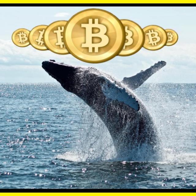 Crypto Whales📈🐋