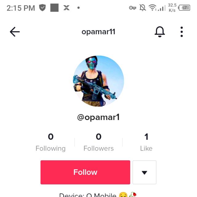 TikTok support ??