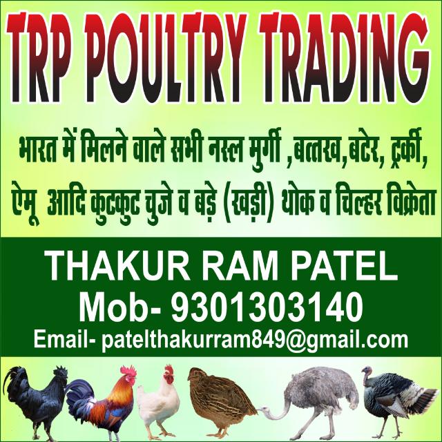 TRP POULTRY&FISH TRADING