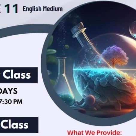 Grade 11 revision 2023/2024 English meduim science 