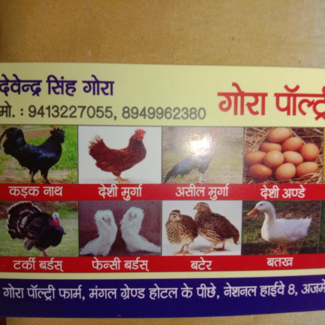 🐓🦃🦢🦆Gora poultry Farmar 🐓