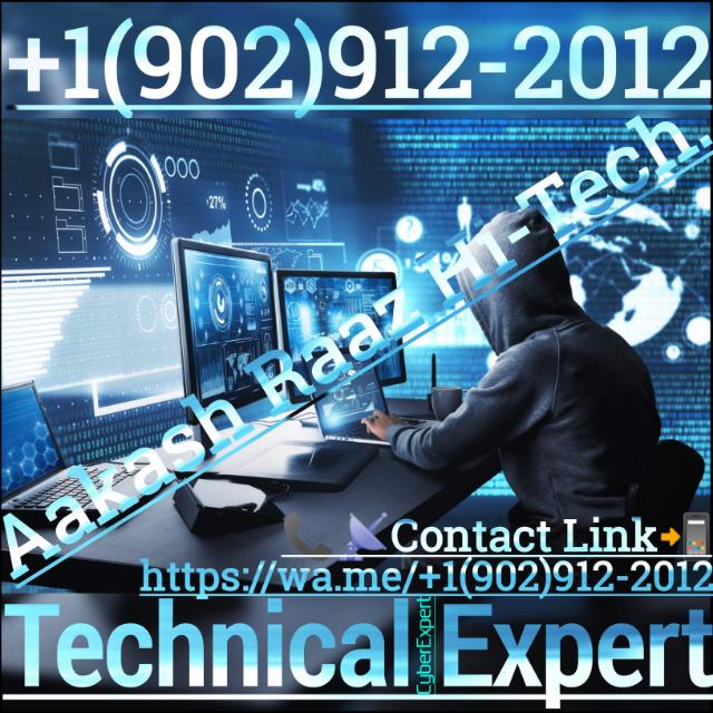 Technical Expert