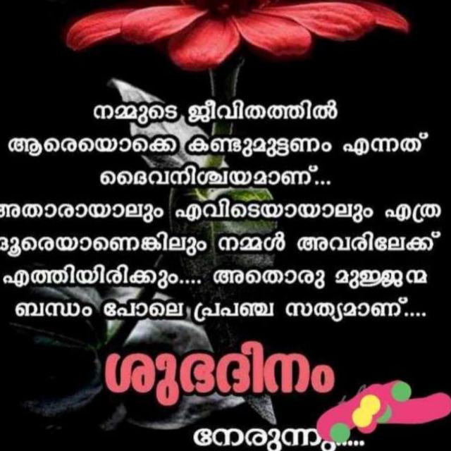 കൊല്ലം ചങ്ങാതി