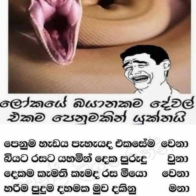 රිසි සේ❤️???????