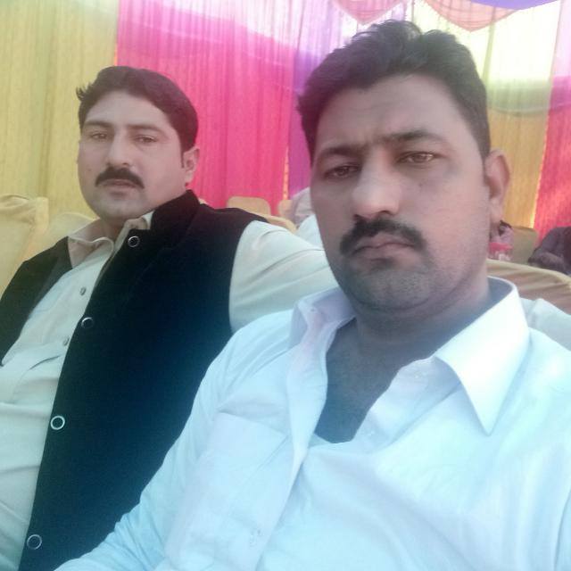 Pakistan Sahiwal boyes