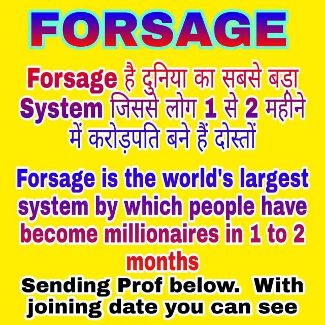 Forsage Busd Business 