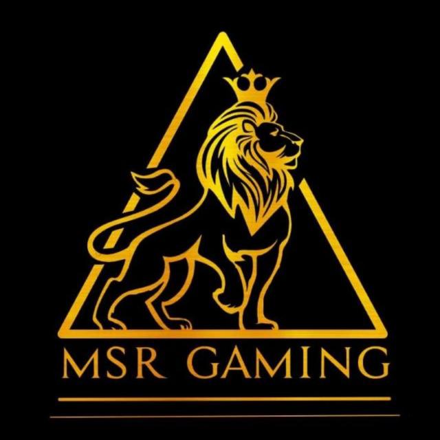 ?MSR GAMING PUBLIC GROUP?