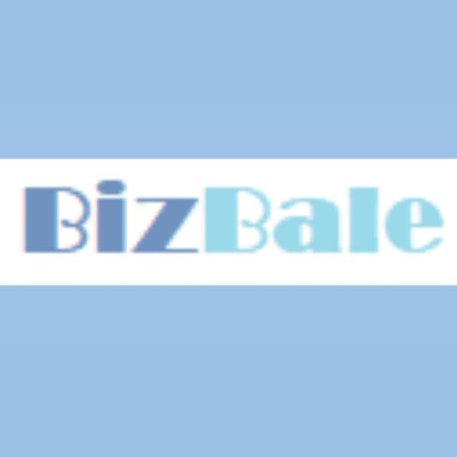 BizBale:Digital Marketing