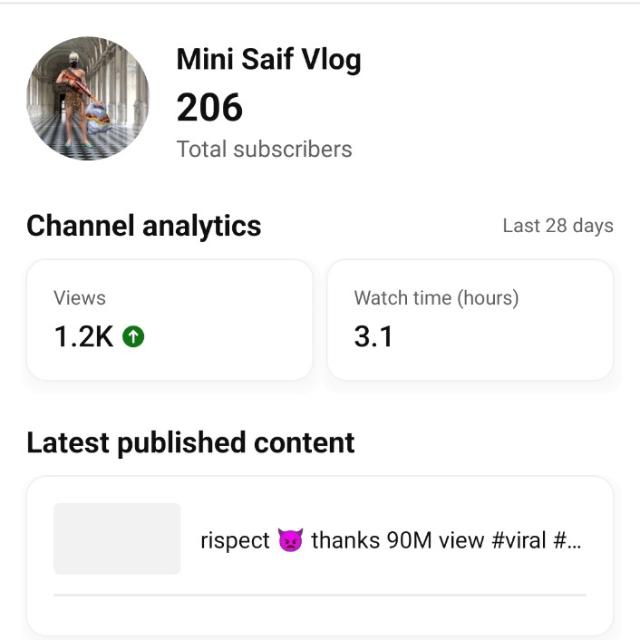 YouTube channel mini saif vlog subscrib