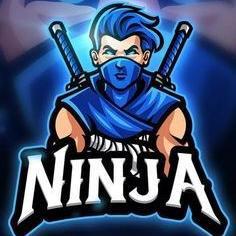 Ninja Gaming