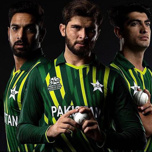 Cricket Lovers ♥️?