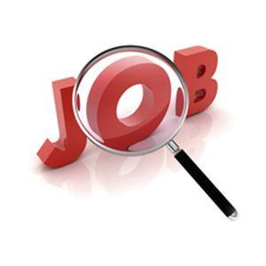 Jobs in Delhi NCR 