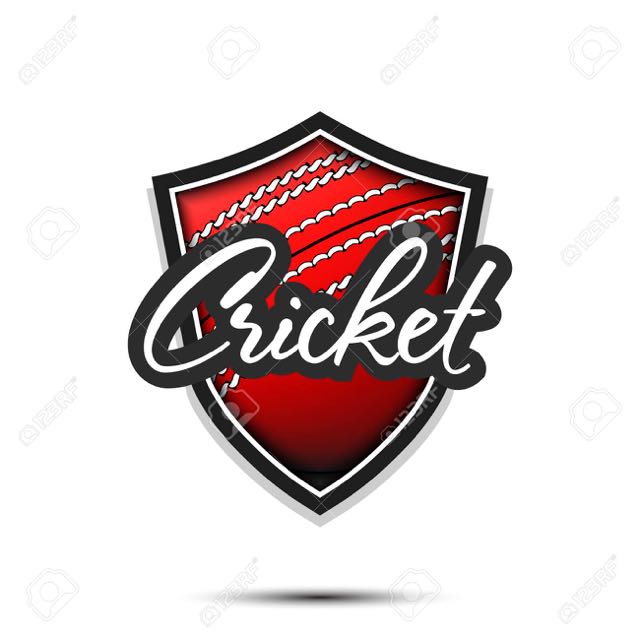 CRICKET ALL SPORTS FANS