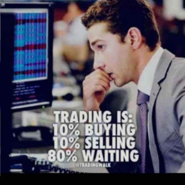 FX Trading Expert 😉🏦